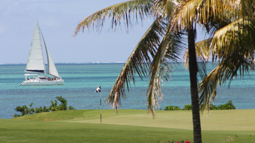 Viaje com estilo: Milton Seigi Hayashi revela como o turismo de golfe movimenta experiências exclusivas.